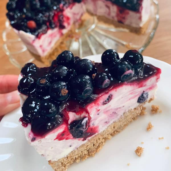 GLUTEN-FREE DIGESTIVE BISCUIT MIX