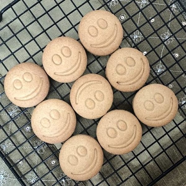 GLUTEN-FREE DIGESTIVE BISCUIT MIX