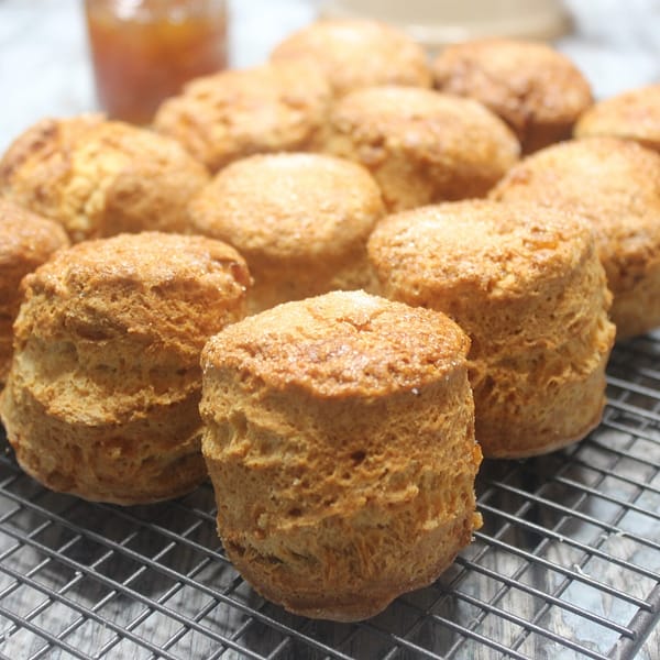 GLUTEN-FREE GINGER SCONE MIX
