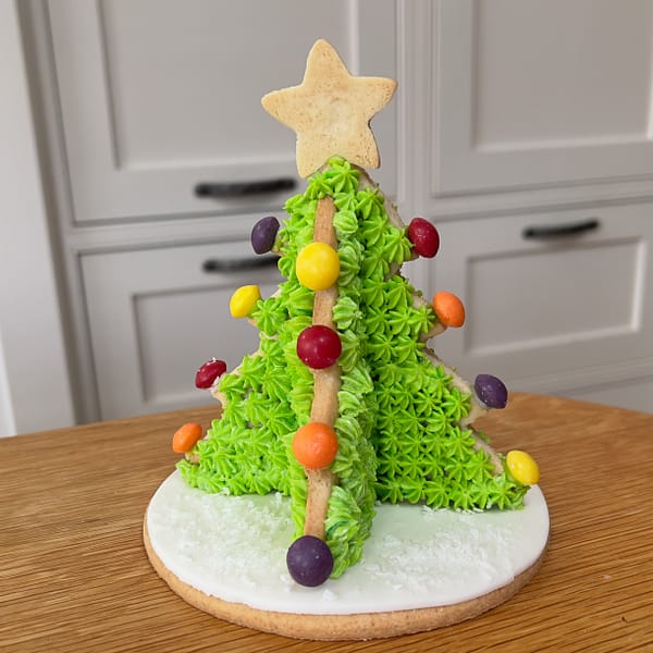 3D CHRISTMAS TREE BISCUIT CUTTER