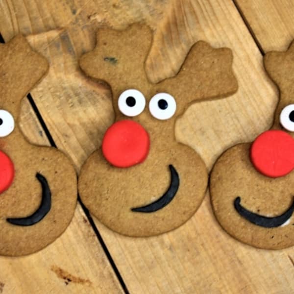 GLUTEN-FREE GINGERBREAD BISCUIT MIX